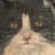 artsth