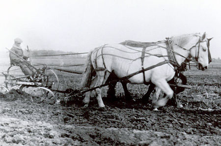 farm1928